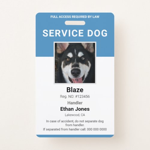 Service Dog Photo Blue Badge