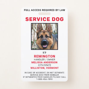 Service Dog Photo ID Badge