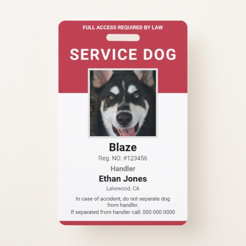 Service Dog Photo Red Badge
