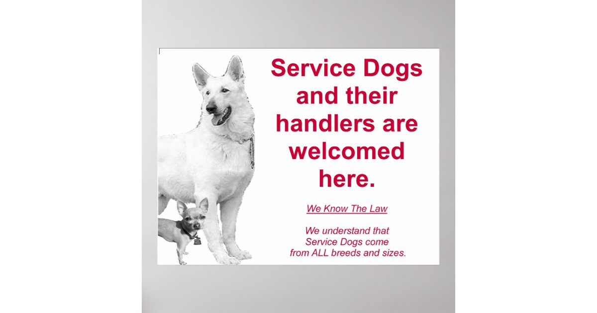Service Dogs Are Welcome Poster Zazzle service-dogs-are-welcome-poster-zazzle