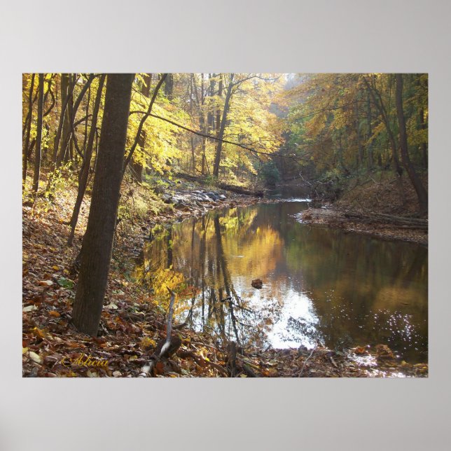 service poster (Front)