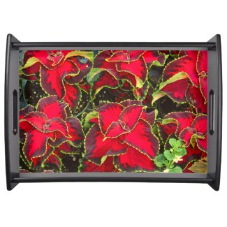 SERVING TRAY:  FLORAL/BRIGHT RED COLEUS