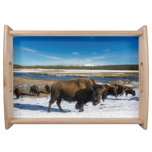 Serving Tray_Yellowstone Buffalo Serving Tray