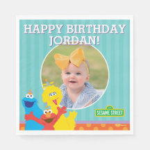 Sesame Pals Birthday Party