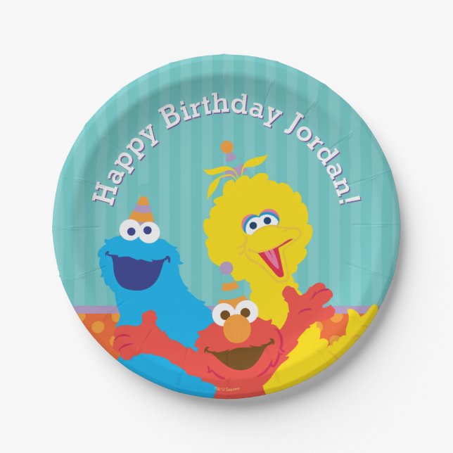 Sesame Pals Birthday Pattern Paper Plates (Front)