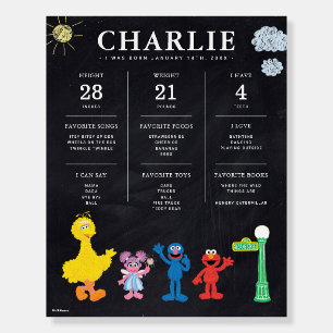 Sesame Street 1st Birthday Milestone Foam Board