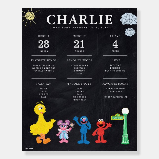 Sesame Street | 1st Birthday Milestone Foam Board (Front)