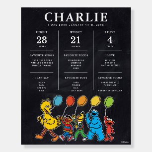 Sesame Street 1st Birthday Milestone Foam Board
