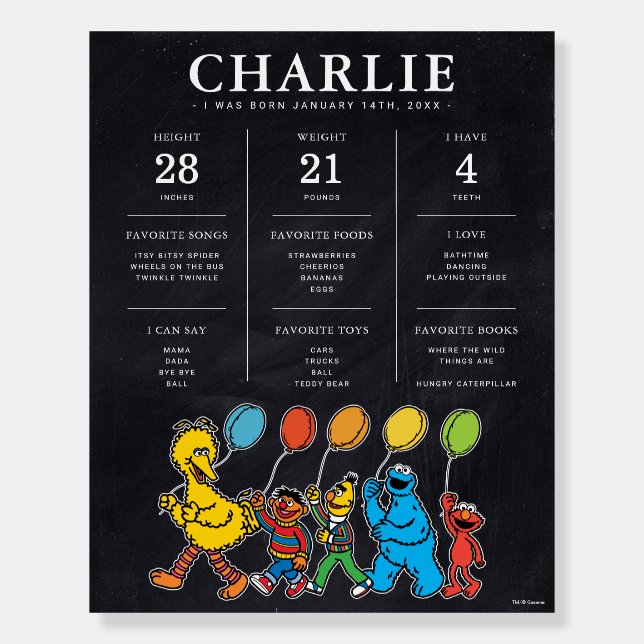 Sesame Street | 1st Birthday Milestone Foam Board (Front)