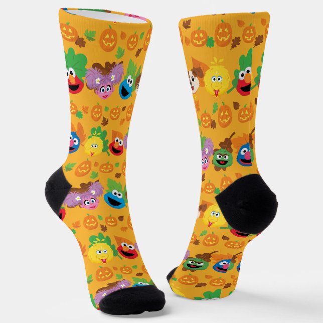 Sesame Street Autumn Leaves Pattern Socks (Angled)