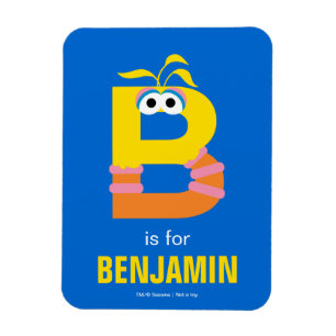 Sesame Street B is for Big Bird Magnet