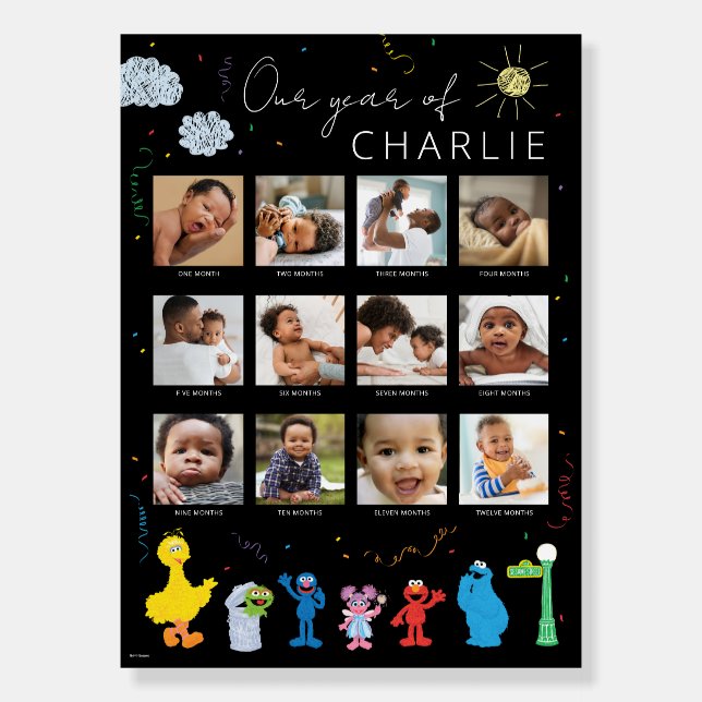 Sesame Street | Baby's First Year - Photo Collage Foam Board (Front)