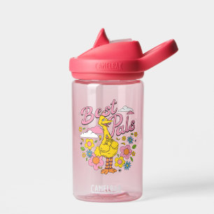 Sesame Street Best Yellow Bird Pals Water Bottle