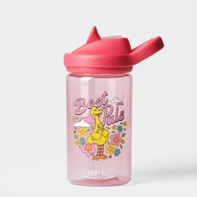 Sesame Street | Best Yellow Bird Pals Water Bottle (Left)