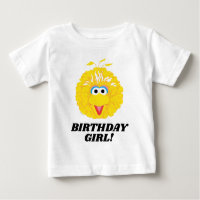 Sesame Street | Big Bird Birthday Girl
