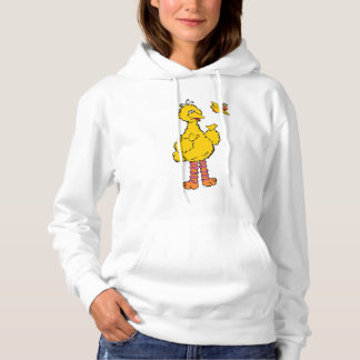 Sesame Street | Big Bird & Little Bird Hoodie