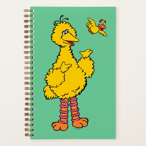 Sesame Street  Big Bird  Little Bird Notebook