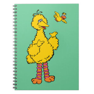 Sesame Street Big Bird & Little Bird Notebook