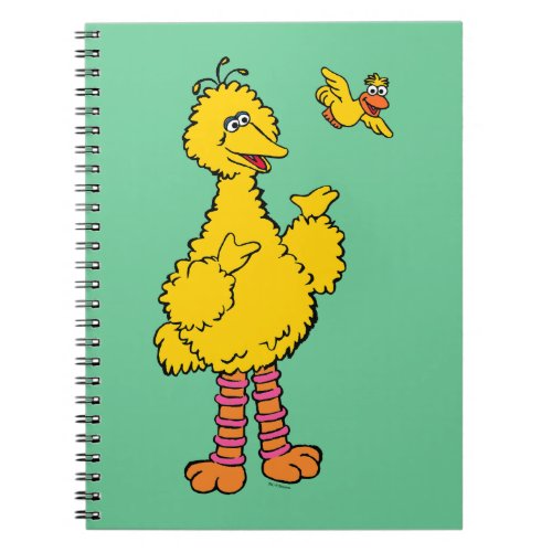 Sesame Street  Big Bird  Little Bird Notebook