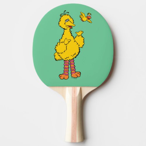 Sesame Street  Big Bird  Little Bird Ping Pong Paddle