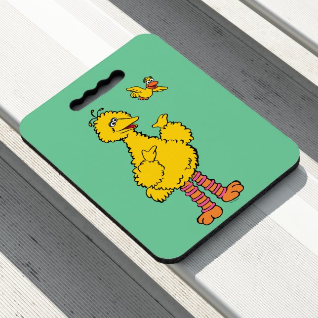 Sesame Street | Big Bird & Little Bird Seat Cushion (In Situ)