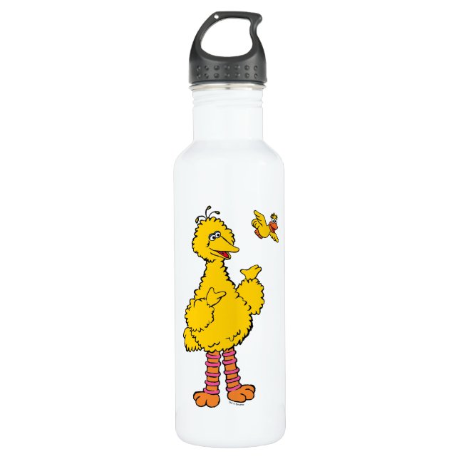 Sesame Street | Big Bird & Little Bird Stainless Steel Water Bottle (Front)