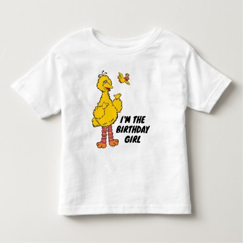 Sesame Street  Big Bird  Little Bird Toddler T_shirt