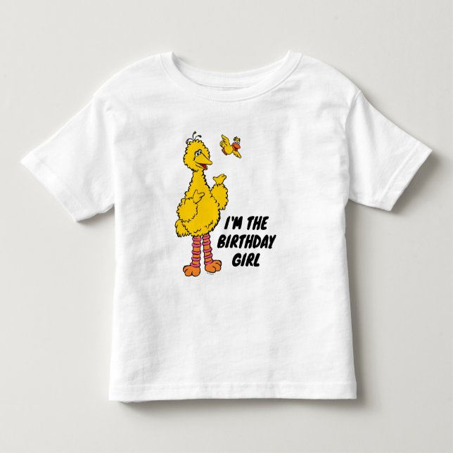 Sesame Street | Big Bird & Little Bird Toddler T-shirt (Front)