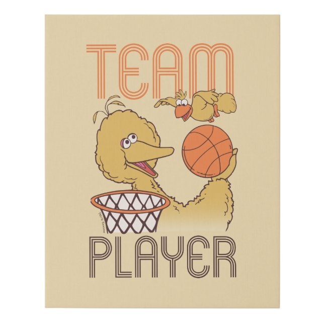 Sesame Street | Bird Bird Team Player Faux Canvas Print (Front)