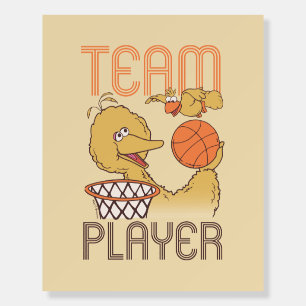 Sesame Street Bird Bird Team Player Foam Board