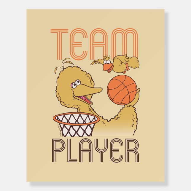 Sesame Street | Bird Bird Team Player Foam Board (Front)