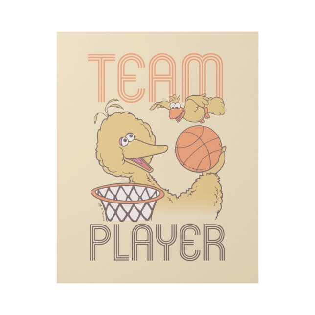 Sesame Street | Bird Bird Team Player Gallery Wrap (Front)