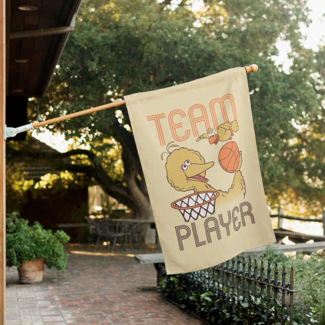 Sesame Street | Bird Bird Team Player House Flag (In SItu)