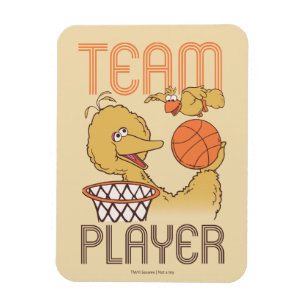 Sesame Street   Bird Bird Team Player Magnet