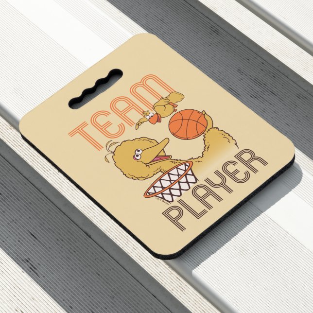 Sesame Street | Bird Bird Team Player Seat Cushion (In Situ)