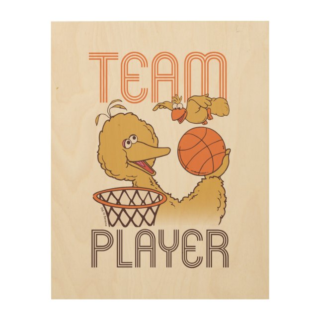 Sesame Street | Bird Bird Team Player Wood Wall Art (Front)