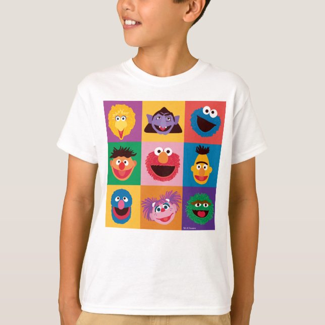 Sesame Street Characters | Colorblock Grid T-Shirt (Front)