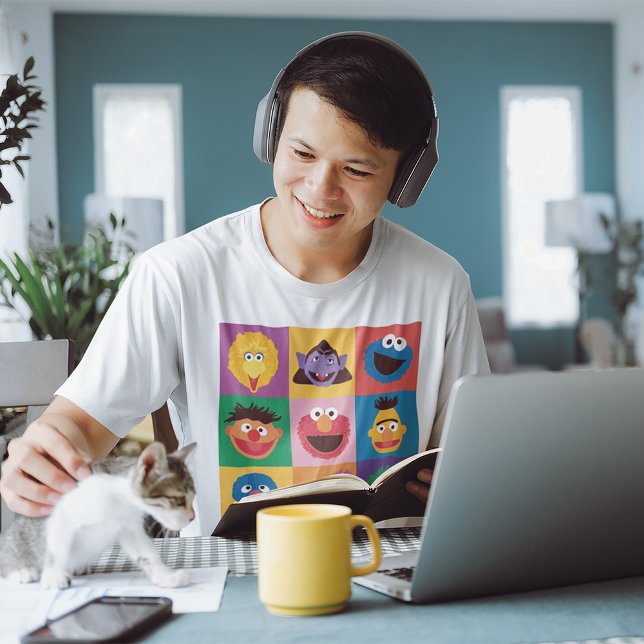Sesame Street Characters | Colorblock Grid T-Shirt (Person wearing t-shirt)
