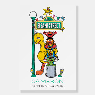 Sesame Street Characters First Birthday Foam Board