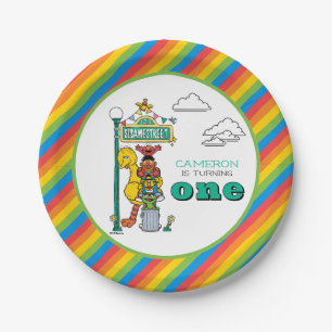 Sesame Street Characters & Street Sign Birthday Pa Paper Plates