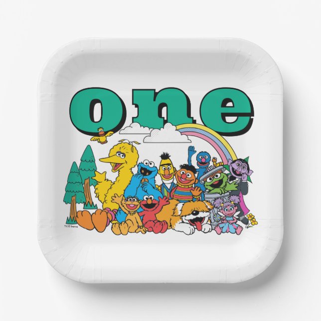 Sesame Street Characters & Street Sign Birthday Pa Paper Plates (Front)