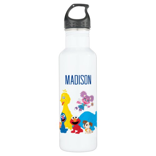 Sesame Street  Colorful Sesame Street Pals Stainless Steel Water Bottle