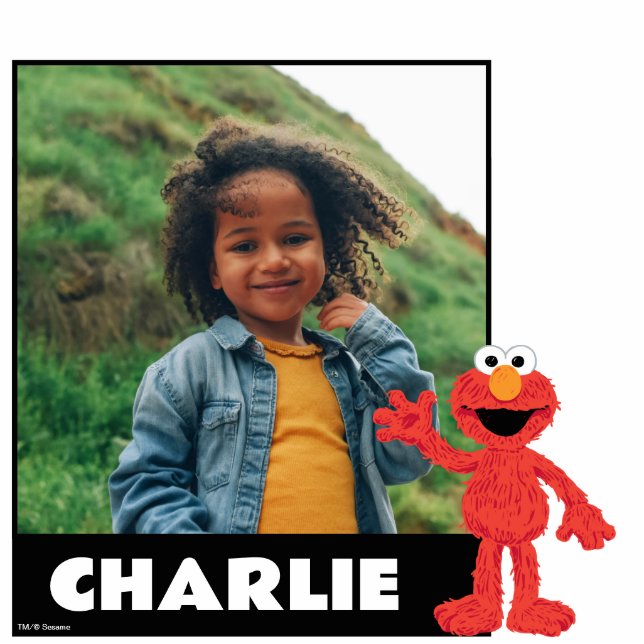 Sesame Street | Cookie Monster Cutout (Front)