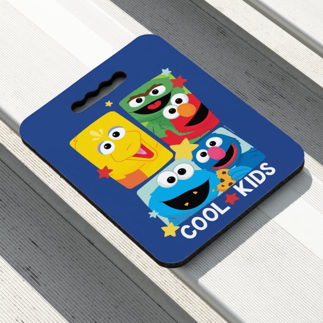 Sesame Street | Cool Kids Seat Cushion (In Situ)