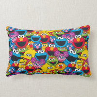 Sesame Street Crew Pattern Lumbar Pillow