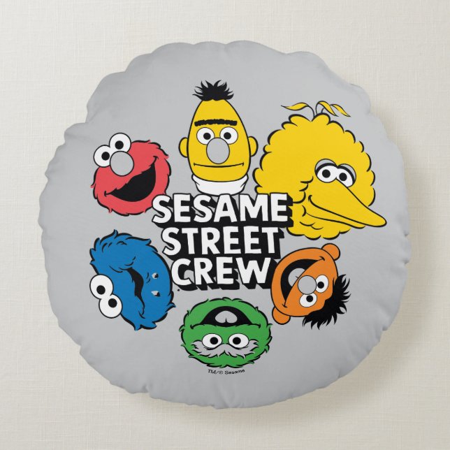 Sesame Street Crew Round Pillow (Front)