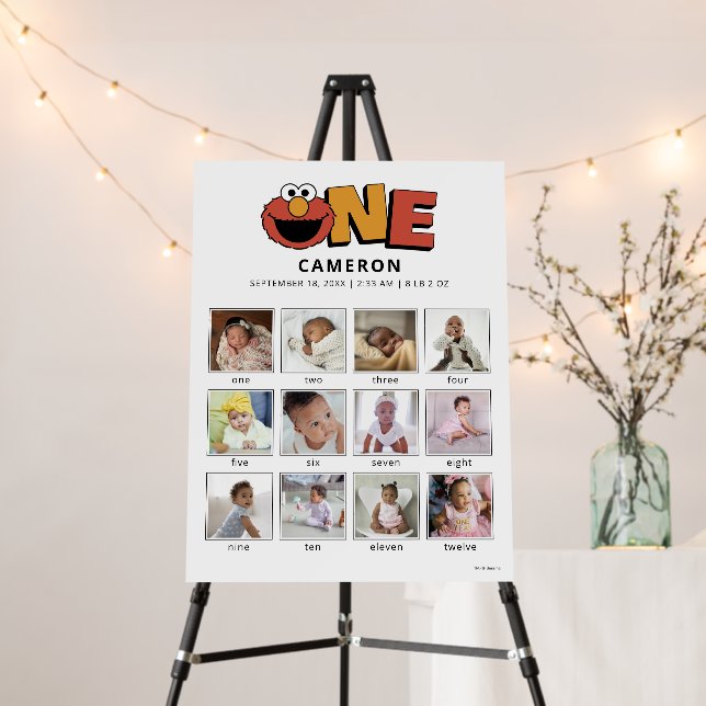 Sesame Street | Elmo First Birthday Foam Board (In Situ (Stand))