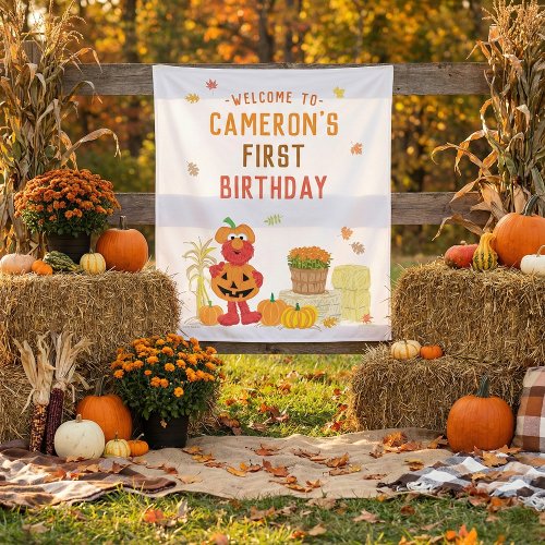 Sesame Street - Elmo | Pumpkin First Birthday