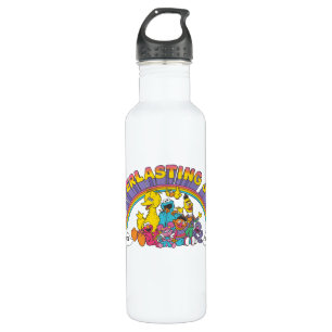 Sesame Street Everlasting Joy Since 1969 Stainless Steel Water Bottle