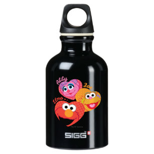 Sesame Street Friends Water Bottle